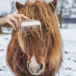 Comb Horse Grooming Tool